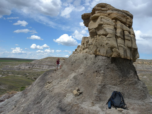 Site où l’on a découvert Acrotholus. Formation de Milk River, dans le sud de l’Alberta. Photo : David Evans