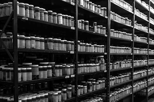 shelves and shelves of jars of specimens housed in the ROM's alcohol collections