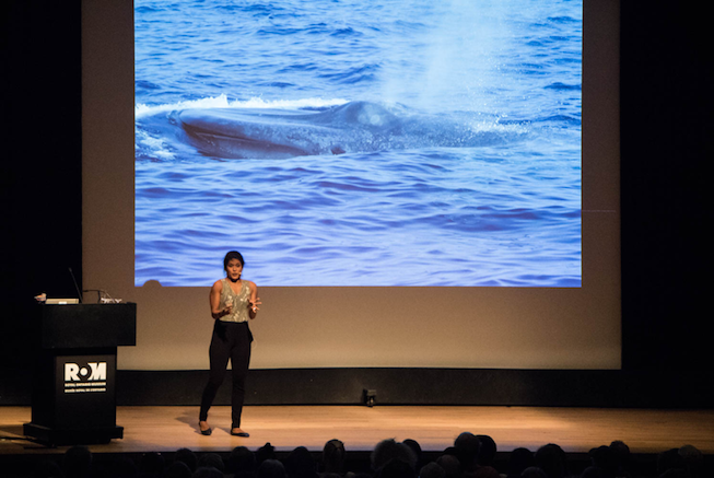 Asha De Vos gives an enthusiastic talk about whale poop at the Royal Ontario Museum. Photo Credit: Meghan Callon Asha De Vos gives an enthusiastic talk about whale poop at the Royal Ontario Museum. Photo Credit: Meghan Callon