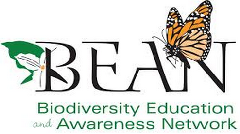 Bean Logo Bean Logo