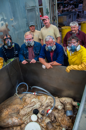 The team poses with the heart as its container fills with the fixative chemicals. Photo by Sam Rose Phillips 