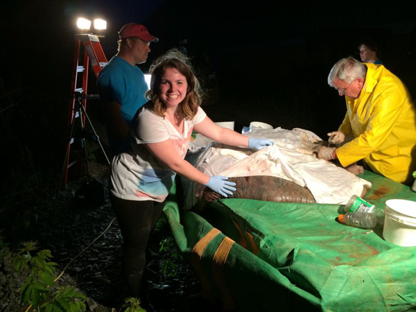 Environmental Visual Communication student Sam Rose Phillips spends some quality time with the blue whale heart, keeping it cool. Photo by Jacqueline Miller