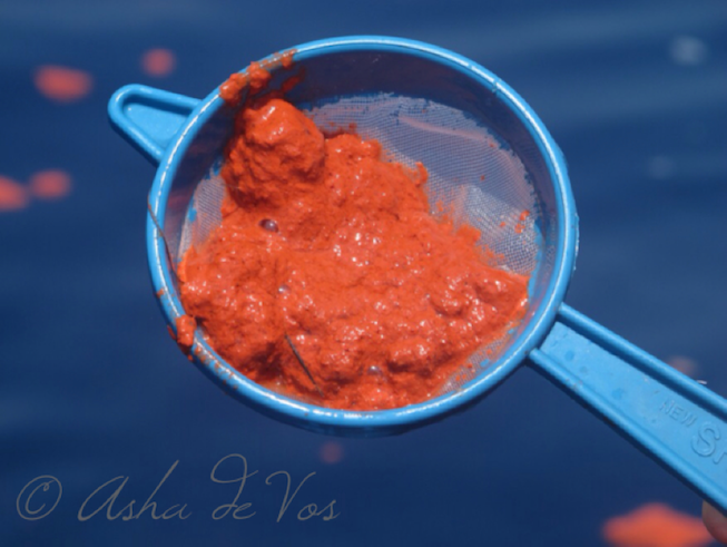 The ocean’s miracle grow! Bright red blue whale poop will provide essential nutrients to microorganisms that form the base of the food chain. Photo Credit: Asha de Vos The ocean’s miracle grow! Bright red blue whale poop will provide essential nutrients to microorganisms that form the base of the food chain. Photo Credit: Asha de Vos