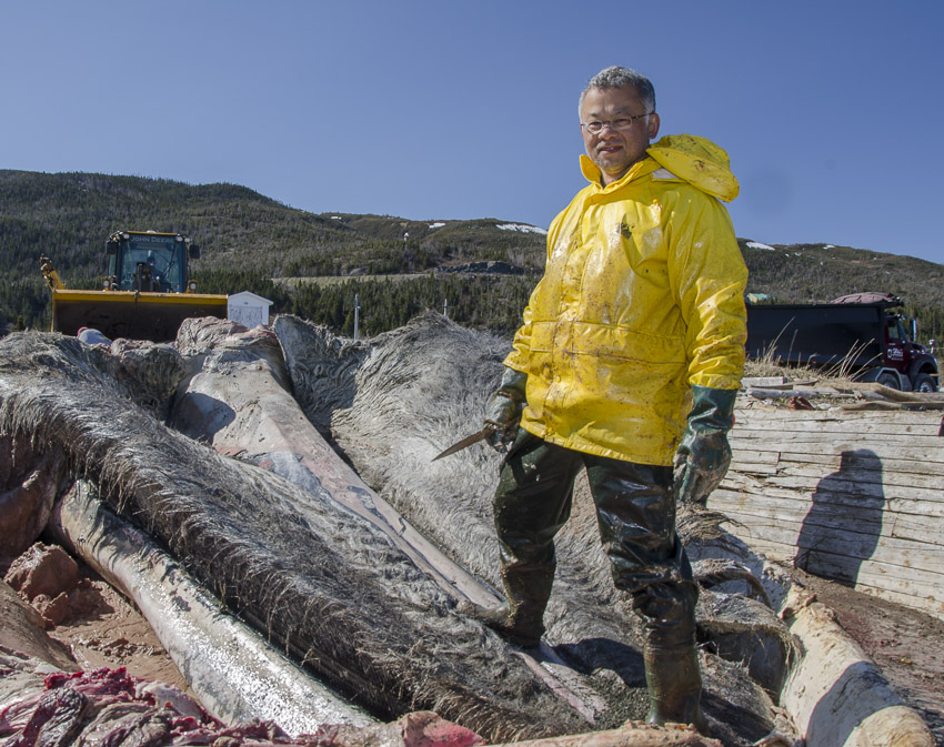 A man clad in a rain suit stands in the mouth of the whale.