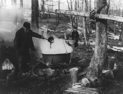  Boiling Maple Syrup, Eastern Townships, Quebec, Canada, McCord Museum