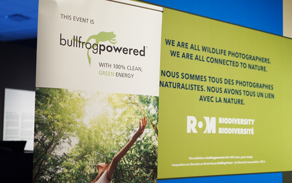The 2015 Wildlife Photographer of the Year Exhibit at the ROM is powered by 100% clean energy through Bullfrog Power