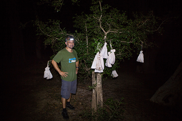 Dr. Burton Lim looking pleased with all the different bats caught at Kumana National Park. Credit: Vincent Luk