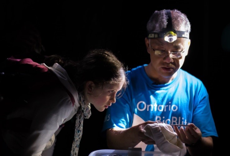 Burton Lim examines a bat