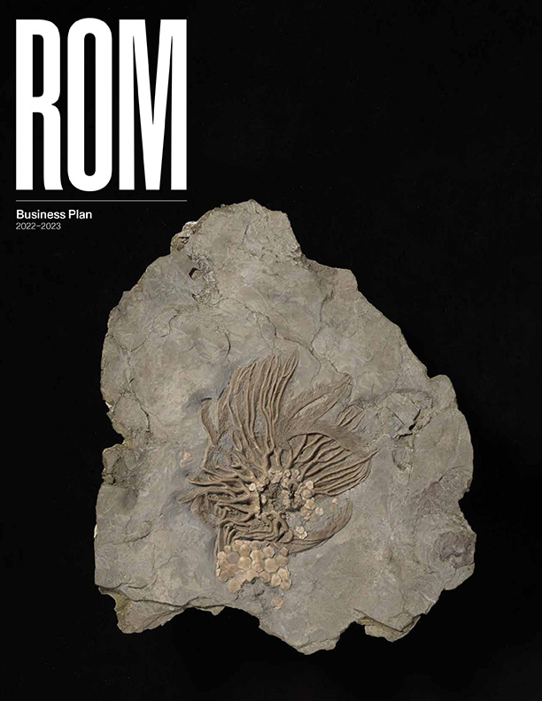 museum business plan pdf Cover of ROM Business Plan