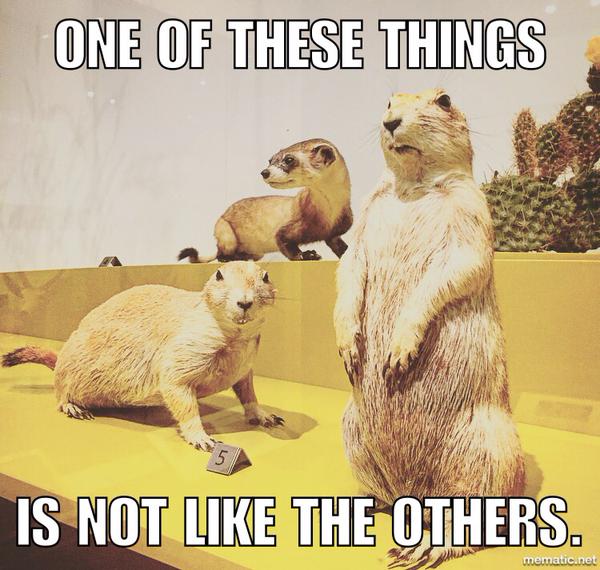 ROMmeme prairie dogs. Caption: One of these things is not like the others. 