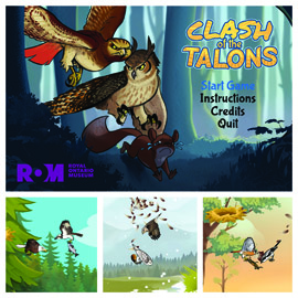 Drawn pictures of owls, hawks and squirrels that are featured in the Game Clash of Talons