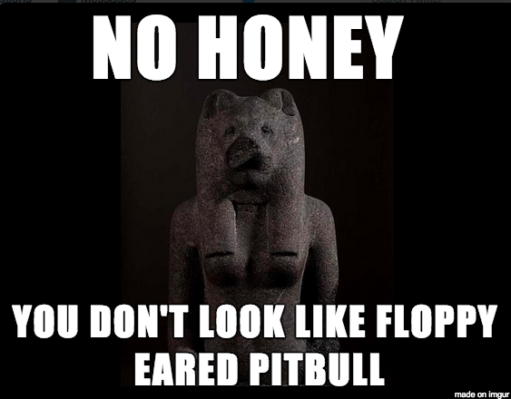Statue of Sekhmet circa 1360 BCE. Caption: No honey, you don't look like a floppy-eared pitbull. 