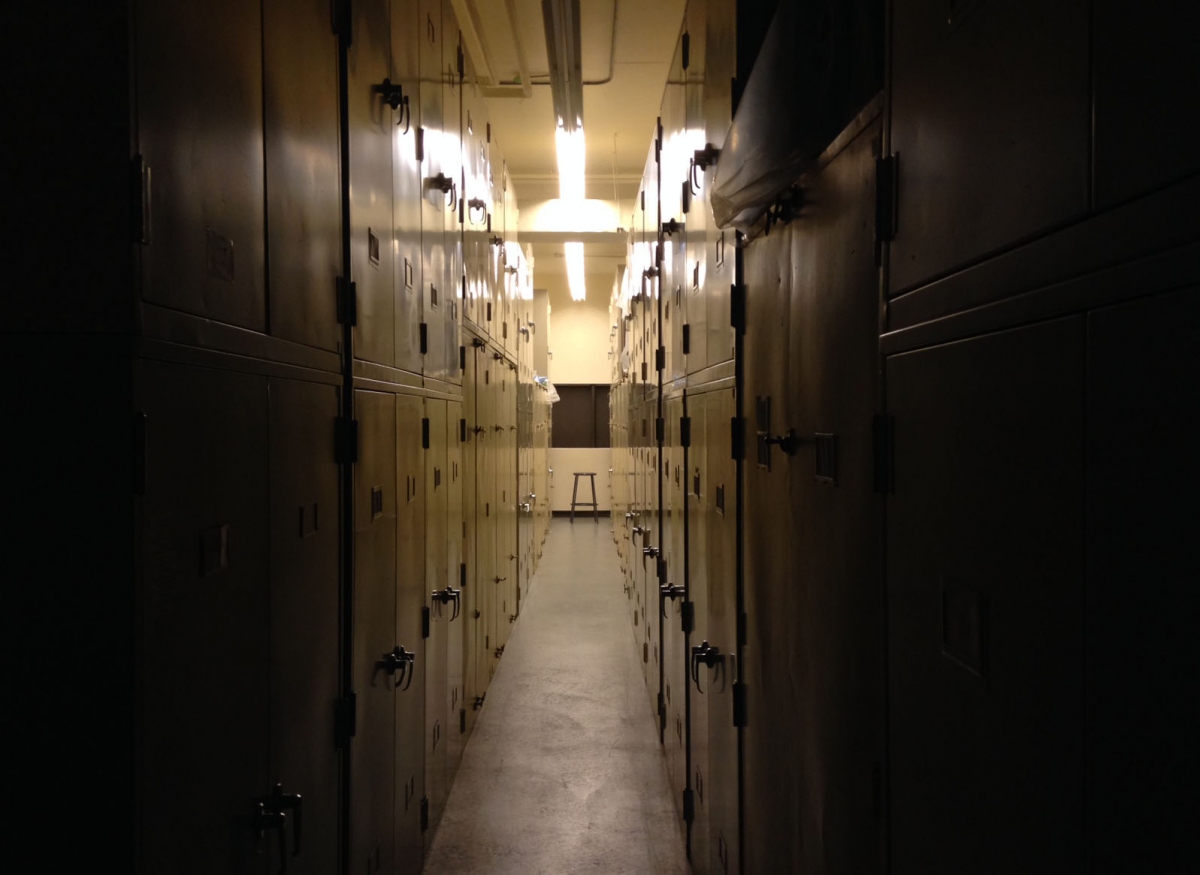 A view of closed cabinets within the ornitholgoy collection room