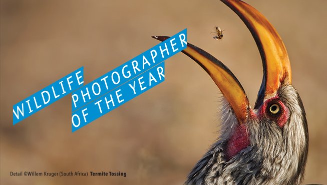 Wildlife Photographer of the Year 2016 promo image