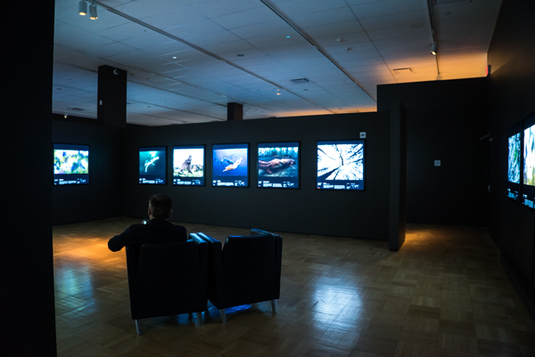 A sneak peak of the 2015 Wildlife Photographer of the Year Exhibition at the ROM.