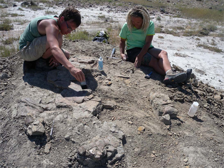 Two students brush and chisel dirt away as they uncover the last of the bones before closing the quarry for the season.