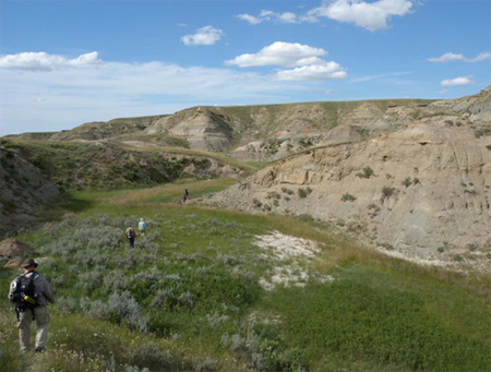 Dino_Alberta1 Prospecting in the badlands