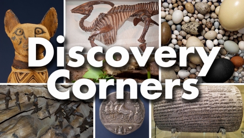 ROM Discovery Corners Banner
