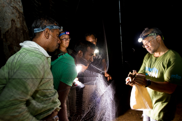 Dr. Burton Lim showing locals a bat caught in a mist net and teaching them about that species’ behaviour. Credit: Deirdre Leowinata