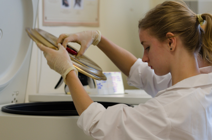 Christine Black, a volunteer in the ROM's DNA lab 