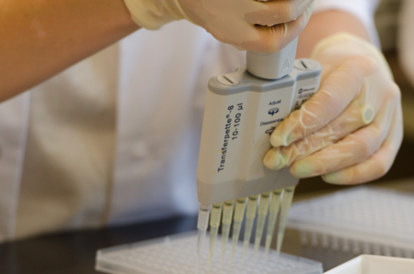 Christine Black, a volunteer in the ROM's DNA lab 