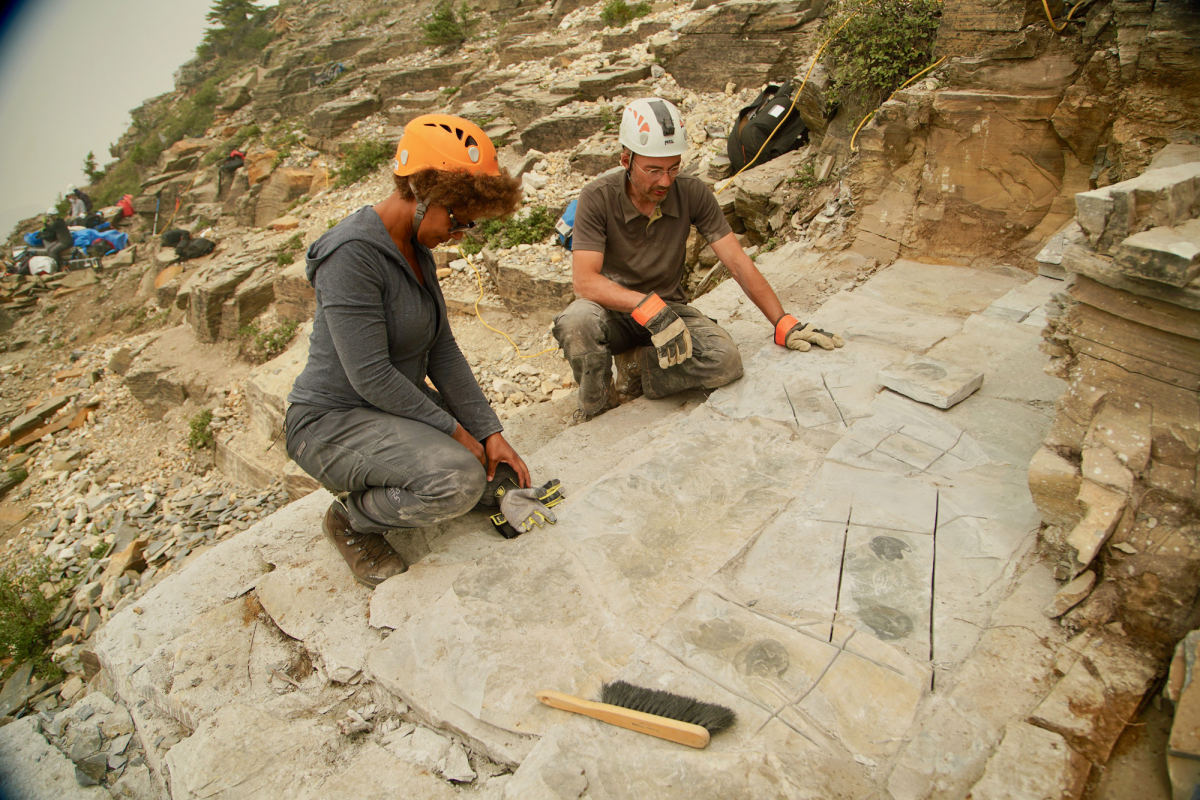 View of the ROM’s Dr. Jean-Bernard Caron and Dr. Maydianne Andrade at the quarry site discussing these newly revealed fossils.