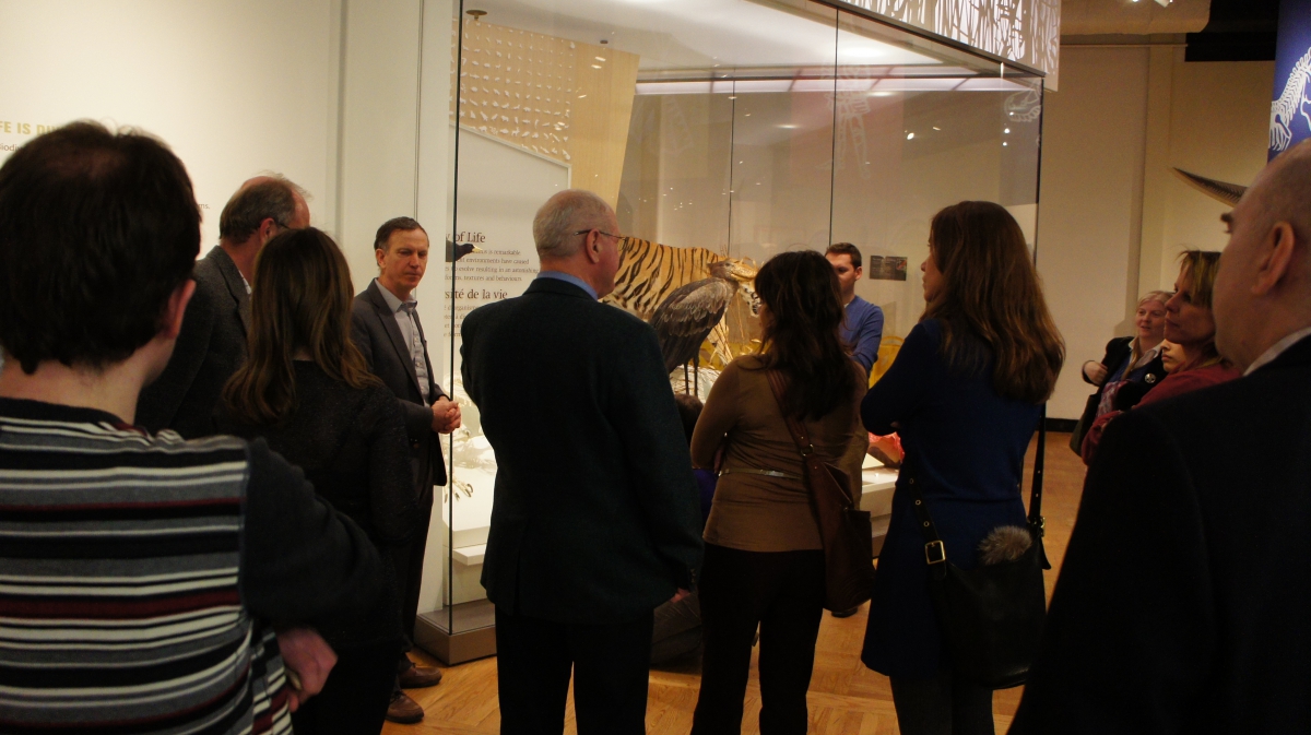 People standing around the case where the Komodo Dragon is now housed