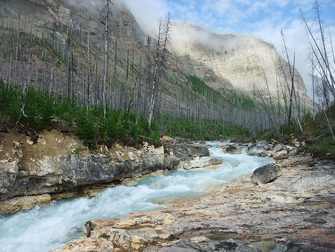 View of the Tokumm Creek at Marble Canyon