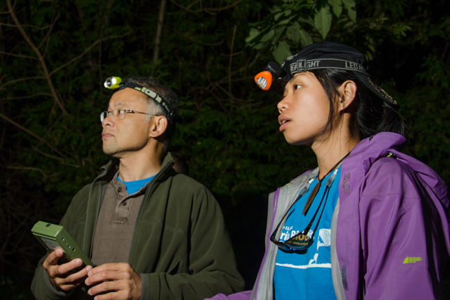 ROM Assistant Curator Burton Lim and volunteer at the 2013 Ontario BioBlitz in Rouge Park use a bat detector to listen for bat echolocation calls. Photo by Jacqueline Waters