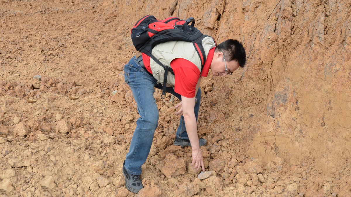 Archaeologist finds a hand axe 