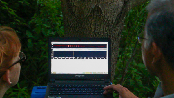 Nicole and Burton examine the waveforms of bat vocalizations from one of the audio recordings on Burton's computer. Photo by Filip Szafirowski