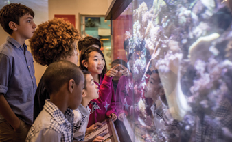 A group of visitors enjoy a guided tour of the galleries.