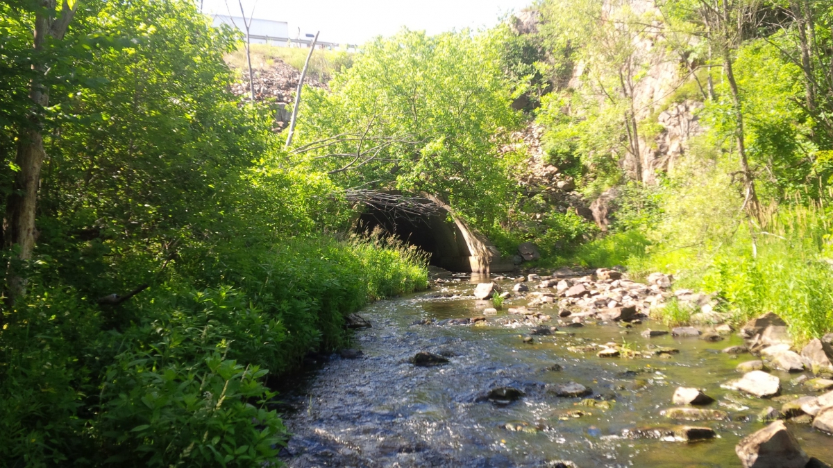 A large culvert beneath the highway, with running water, surrounded by vegetation
