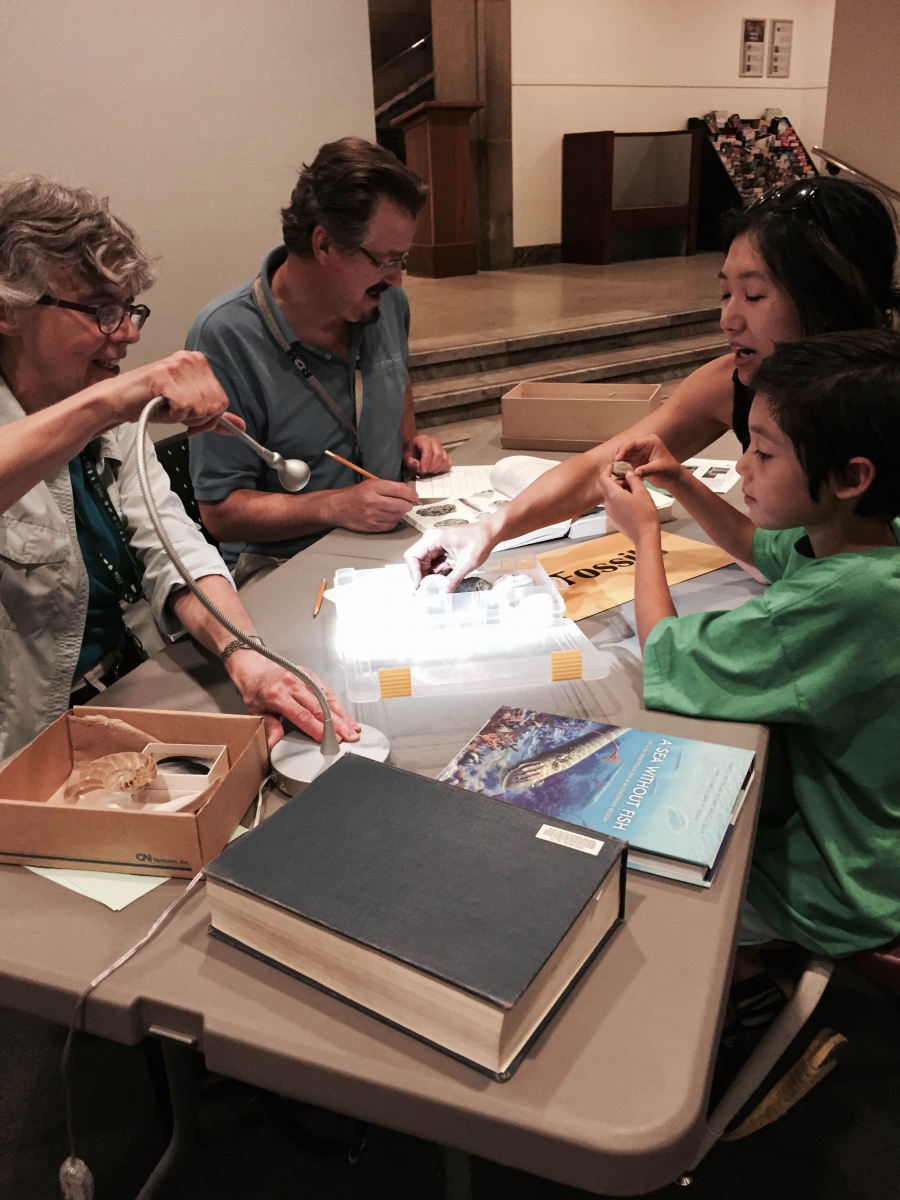 ROm staff identifying visitor's treasures. 