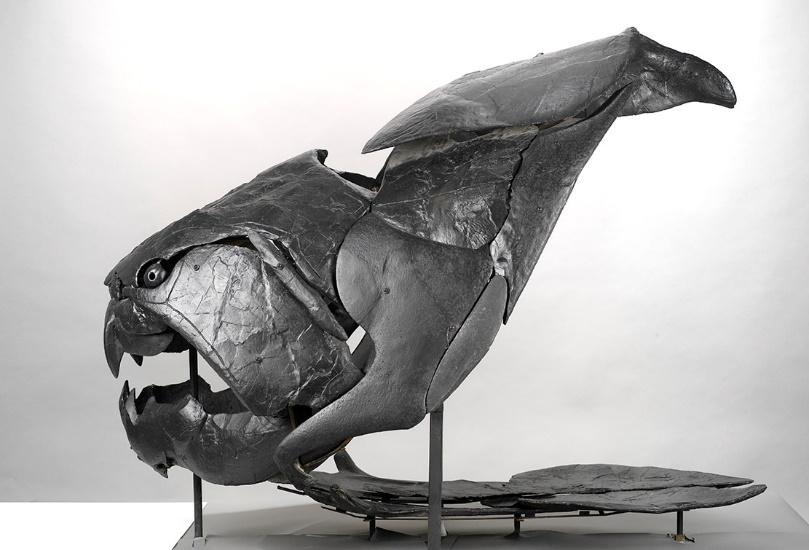 Image: Dunkleosteus intermedius. Currently on display in Dawn of Life Preview Gallery.
