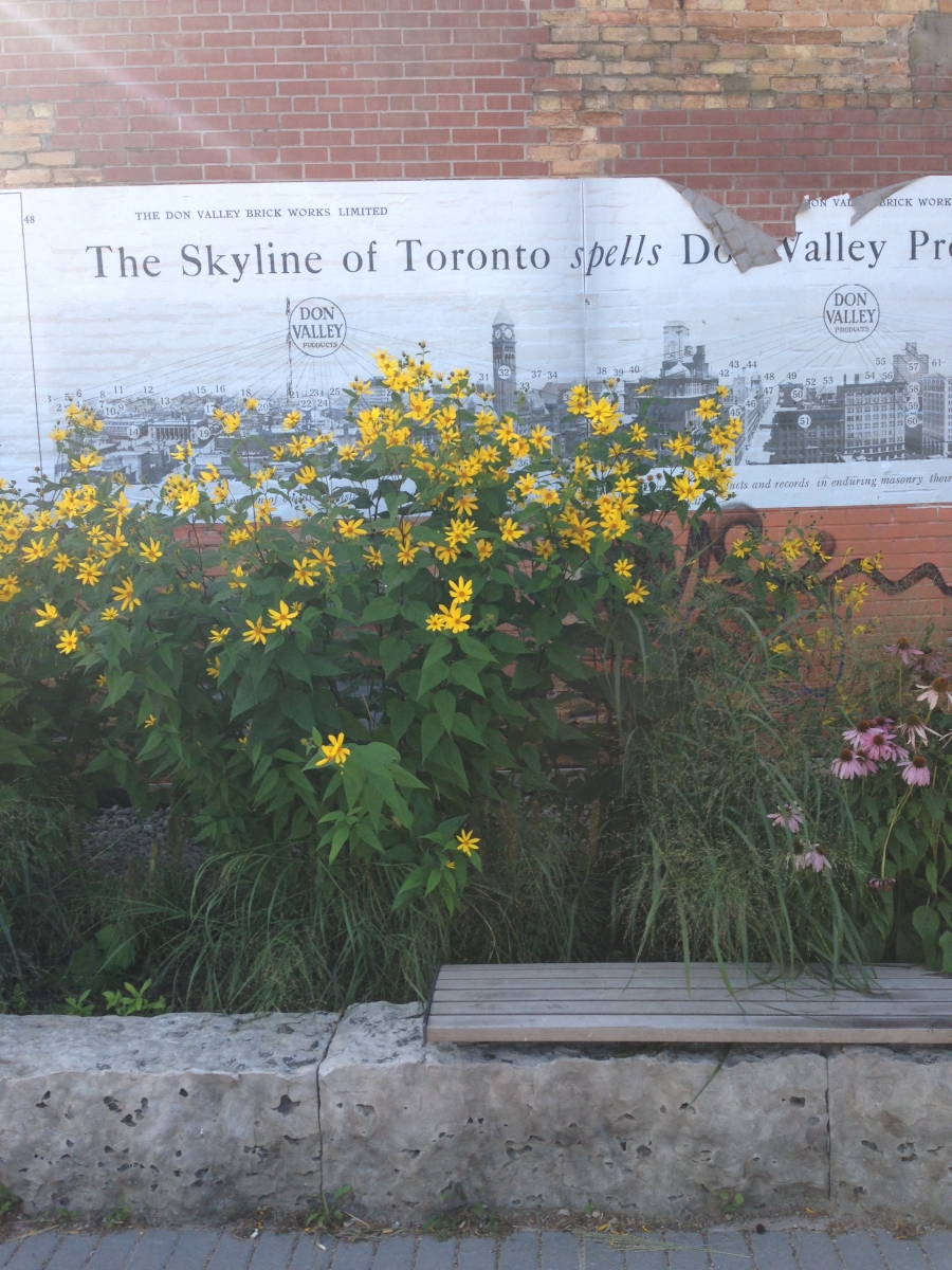 flowers and a brick wall