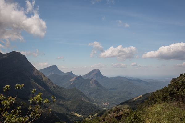 The Knuckles Mountain range. Credit: Vincent Luk