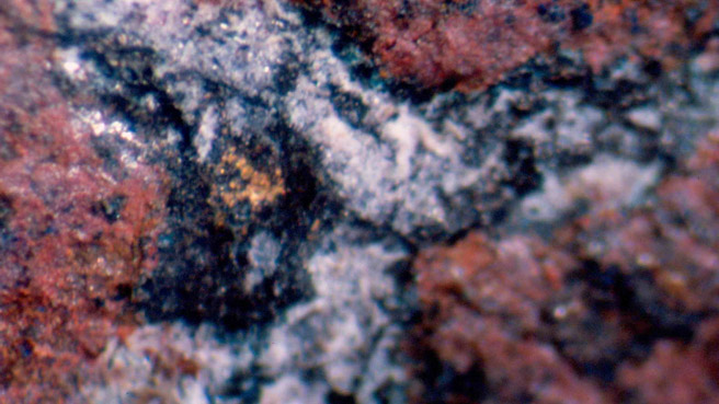 Detail of gilding found in relief of uraei. ( photo: Susan Stock) Detail of gilding found in relief of uraei.