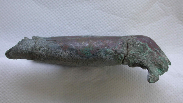 Photo showing deformed upper leg at knee. ( photo: Susan Stock) The leg after removed from the artifact during conservation.