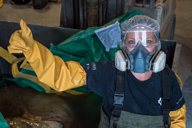 Jacqui Miller gives the thumbs up in full protective gear while preparing the blue whale heart for its shipment to Germany. Photo by Stacey Lee Kerr