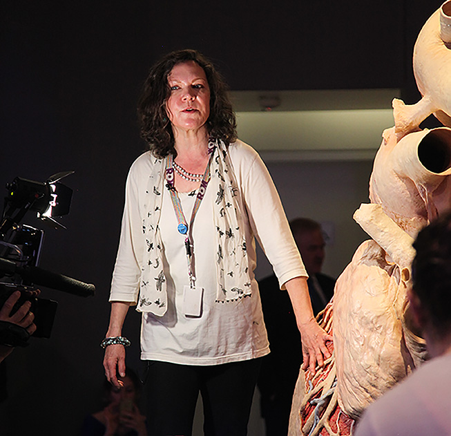 Jacqui talks to the media about the blue whale heart after its installation in the ROM's exhibition. Photo by Fennella Hood Jacqui talks to the media about the blue whale heart after its installation in the ROM's exhibition. Photo by Fennella Hood