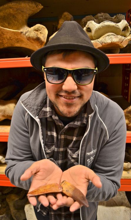 Inside the storage room, Kiron holds two large sharp fossilized teeth.