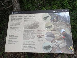 Panneau d’information de Parcs Canada au départ du sentier du canyon Marble. 
