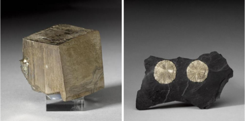 Cubed pyrite on the left, and circular pyrite on the right
A large cube of dull gold material on the left, round sunbursts of dull gold material on the right