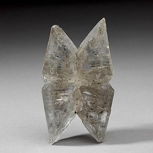 Gypsum crystals in mirror image of each other, resembling a crystal butterfly