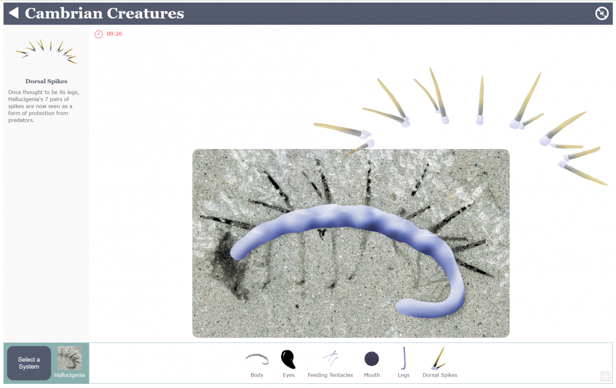 a user drags spines into place on a fossil
