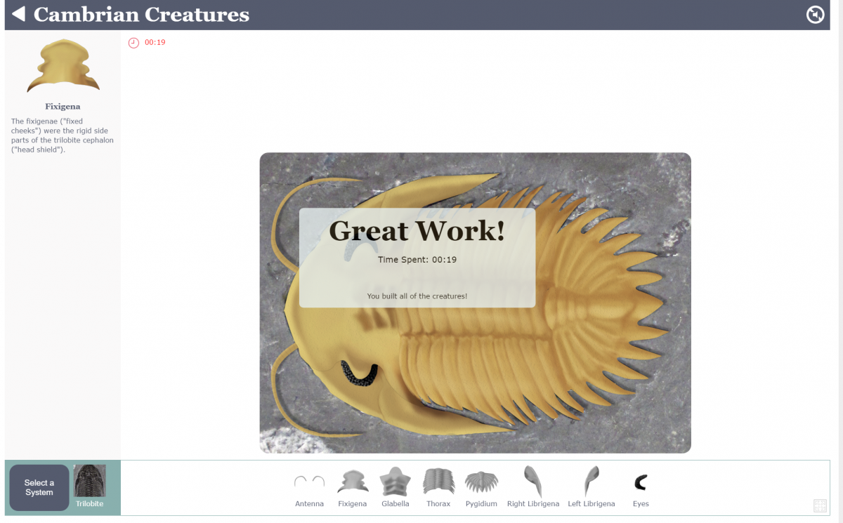 a complete trilobite and an announcement saying "great work!"