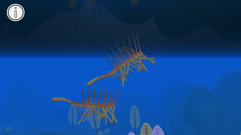 two spiky creatures swim through the water