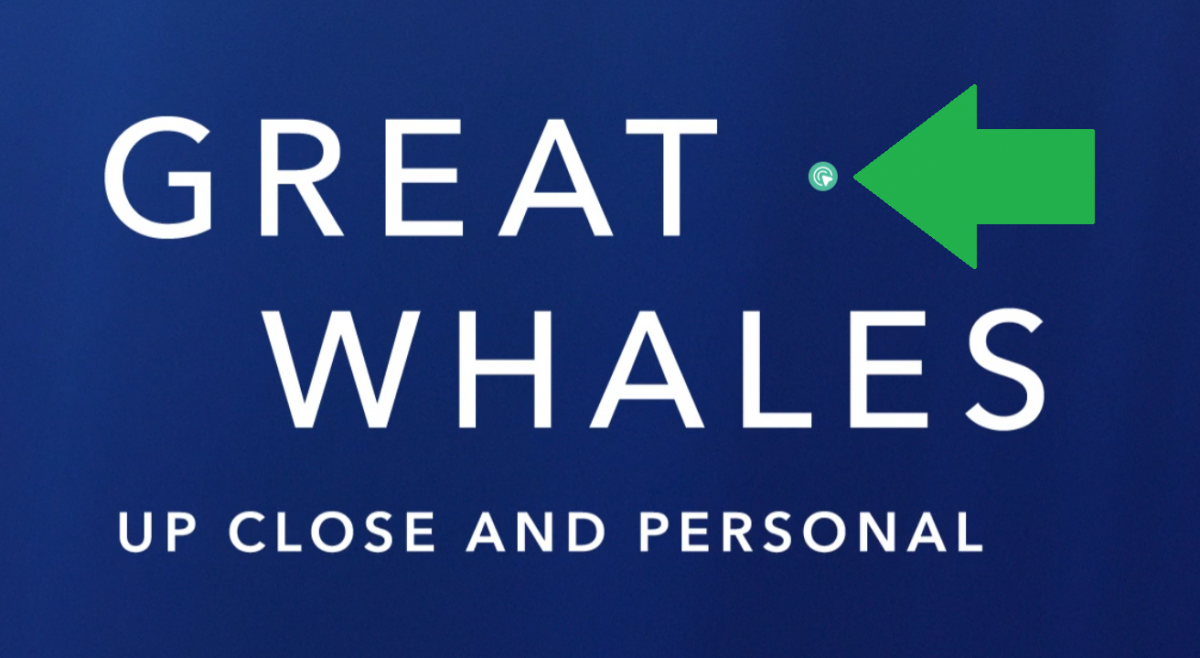 Great Whales A screenshot for Great Whales