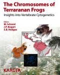 The chromosomes of terraranan frogs